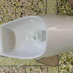 艾爾特衛(wèi)浴產(chǎn)品 產(chǎn)品圖片 加盟店怎么樣